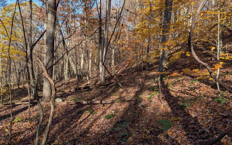 TBD Brush Run, Mannington, West Virginia 26582, ,Lots/land,For Sale,Brush,10162382 TBD Brush Run, Mannington, West Virginia 26582, ,Lots/land,For Sale,Brush,10162382