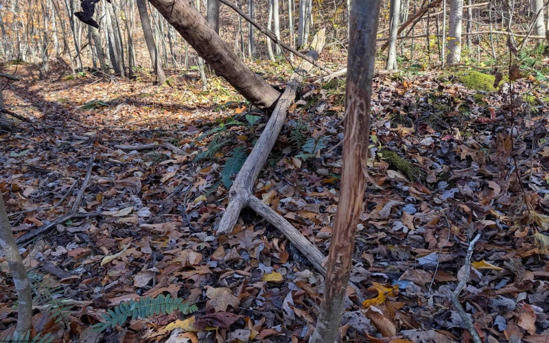 TBD Brush Run, Mannington, West Virginia 26582, ,Lots/land,For Sale,Brush,10162382 TBD Brush Run, Mannington, West Virginia 26582, ,Lots/land,For Sale,Brush,10162382