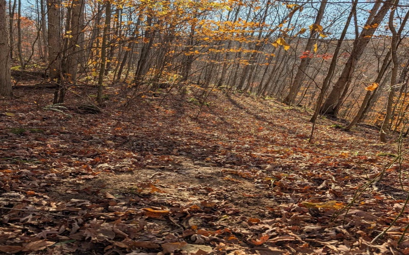 TBD Brush Run, Mannington, West Virginia 26582, ,Lots/land,For Sale,Brush,10162382 TBD Brush Run, Mannington, West Virginia 26582, ,Lots/land,For Sale,Brush,10162382