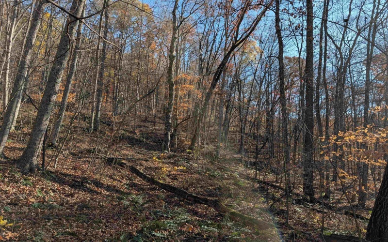 TBD Brush Run, Mannington, West Virginia 26582, ,Lots/land,For Sale,Brush,10162382 TBD Brush Run, Mannington, West Virginia 26582, ,Lots/land,For Sale,Brush,10162382
