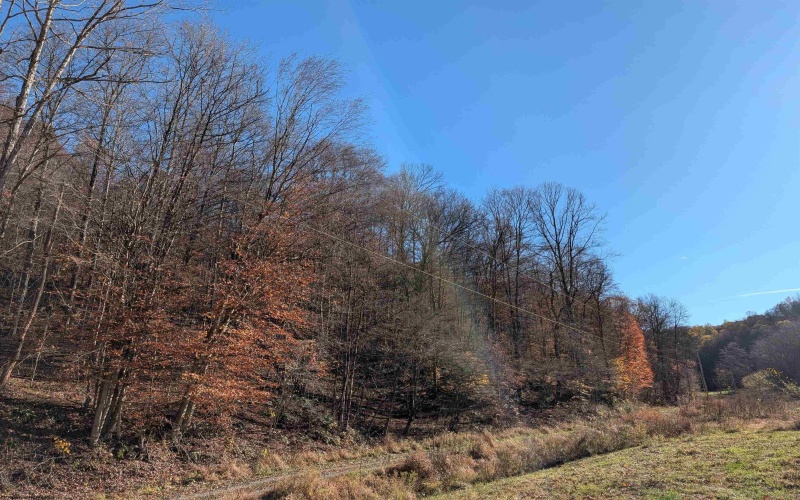TBD Brush Run, Mannington, West Virginia 26582, ,Lots/land,For Sale,Brush,10162382 TBD Brush Run, Mannington, West Virginia 26582, ,Lots/land,For Sale,Brush,10162382