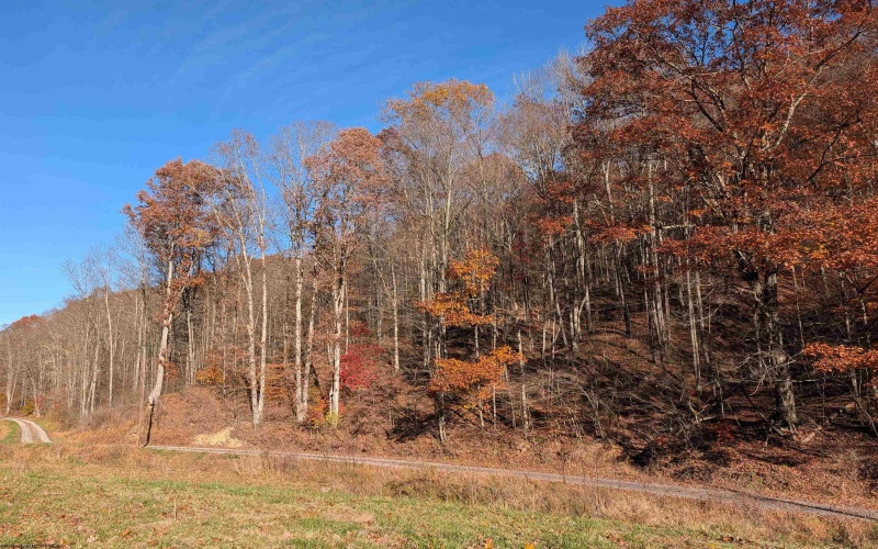 TBD Brush Run, Mannington, West Virginia 26582, ,Lots/land,For Sale,Brush,10162382 TBD Brush Run, Mannington, West Virginia 26582, ,Lots/land,For Sale,Brush,10162382