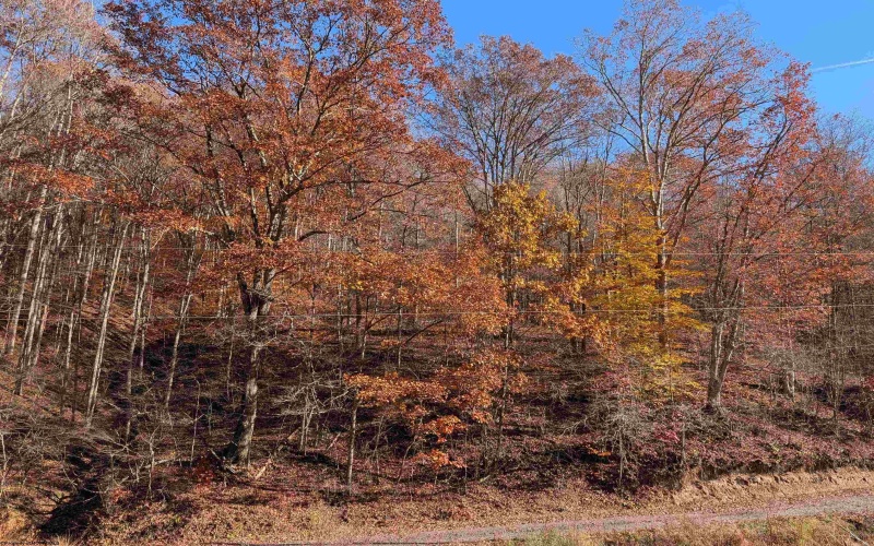 TBD Brush Run, Mannington, West Virginia 26582, ,Lots/land,For Sale,Brush,10162382 TBD Brush Run, Mannington, West Virginia 26582, ,Lots/land,For Sale,Brush,10162382