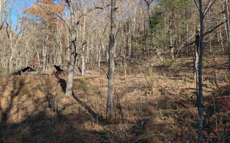 TBD Brush Run, Mannington, West Virginia 26582, ,Lots/land,For Sale,Brush,10162382 TBD Brush Run, Mannington, West Virginia 26582, ,Lots/land,For Sale,Brush,10162382