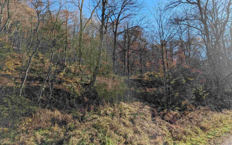 TBD Brush Run, Mannington, West Virginia 26582, ,Lots/land,For Sale,Brush,10162382 TBD Brush Run, Mannington, West Virginia 26582, ,Lots/land,For Sale,Brush,10162382