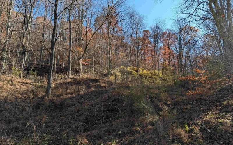 TBD Brush Run, Mannington, West Virginia 26582, ,Lots/land,For Sale,Brush,10162382 TBD Brush Run, Mannington, West Virginia 26582, ,Lots/land,For Sale,Brush,10162382