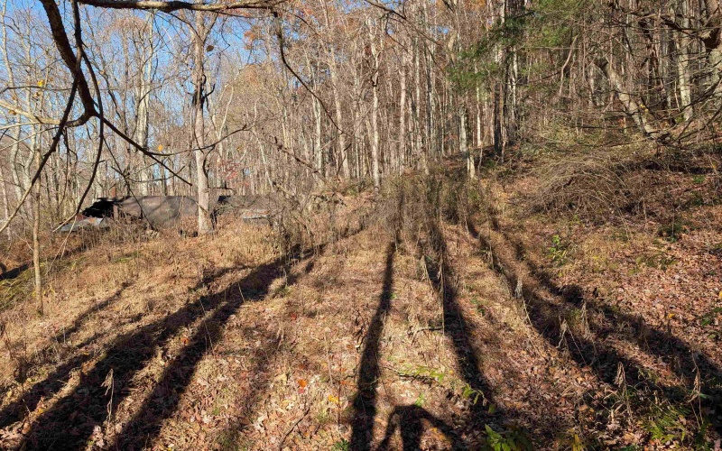 TBD Brush Run, Mannington, West Virginia 26582, ,Lots/land,For Sale,Brush,10162382 TBD Brush Run, Mannington, West Virginia 26582, ,Lots/land,For Sale,Brush,10162382