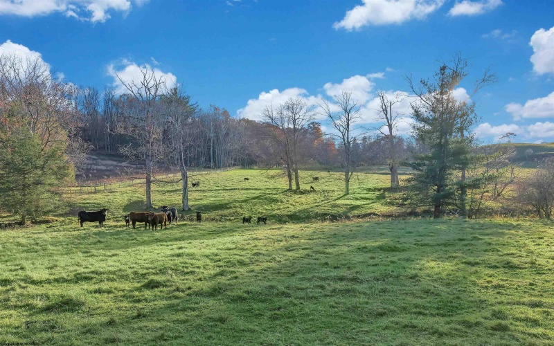 27424 George Washington Highway, Aurora, West Virginia 26705, 2 Bedrooms Bedrooms, 5 Rooms Rooms,1 BathroomBathrooms,Single Family Detached,For Sale,George Washington,10162386 27424 George Washington Highway, Aurora, West Virginia 26705, 2 Bedrooms Bedrooms, 5 Rooms Rooms,1 BathroomBathrooms,Single Family Detached,For Sale,George Washington,10162386