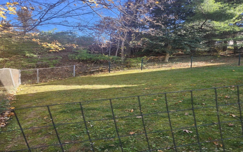 292 Lilly Street, Star City, West Virginia 26505, 3 Bedrooms Bedrooms, 7 Rooms Rooms,2 BathroomsBathrooms,Single Family Detached,For Sale,Lilly,10162371 292 Lilly Street, Star City, West Virginia 26505, 3 Bedrooms Bedrooms, 7 Rooms Rooms,2 BathroomsBathrooms,Single Family Detached,For Sale,Lilly,10162371