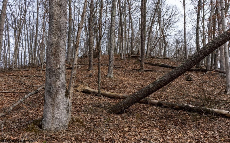 1819 Indian Creek Road, Alma, West Virginia 26320, 1 Bedroom Bedrooms, 5 Rooms Rooms,1 BathroomBathrooms,Single Family Detached,For Sale,Indian Creek,10158256