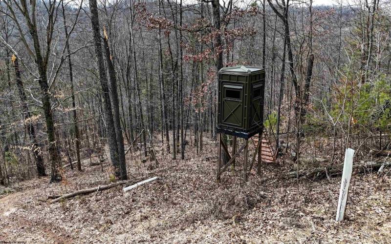 1819 Indian Creek Road, Alma, West Virginia 26320, 1 Bedroom Bedrooms, 5 Rooms Rooms,1 BathroomBathrooms,Single Family Detached,For Sale,Indian Creek,10158256