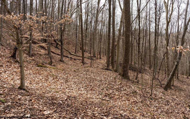 1819 Indian Creek Road, Alma, West Virginia 26320, 1 Bedroom Bedrooms, 5 Rooms Rooms,1 BathroomBathrooms,Single Family Detached,For Sale,Indian Creek,10158256