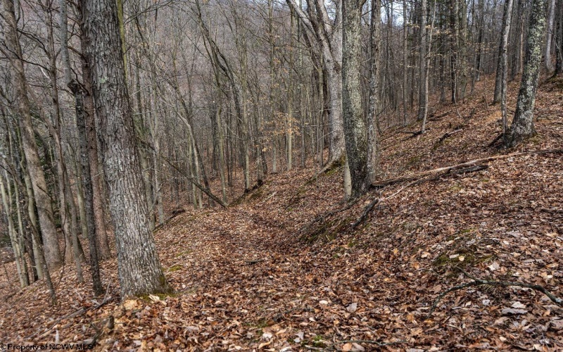 1819 Indian Creek Road, Alma, West Virginia 26320, 1 Bedroom Bedrooms, 5 Rooms Rooms,1 BathroomBathrooms,Single Family Detached,For Sale,Indian Creek,10158256