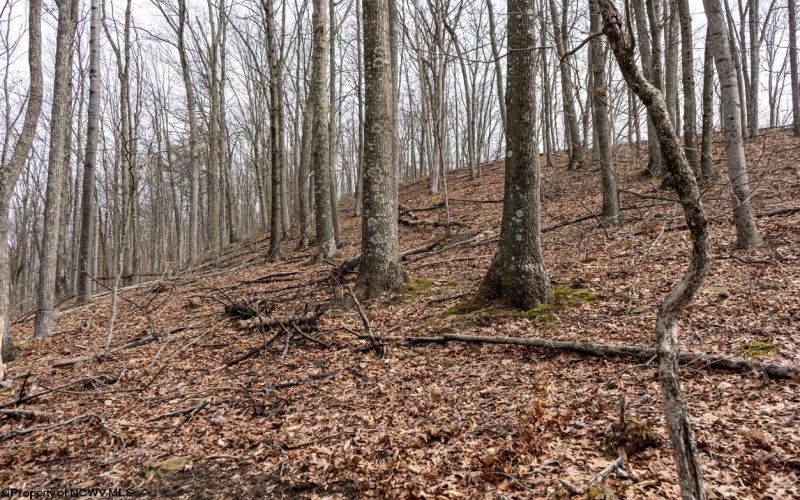 1819 Indian Creek Road, Alma, West Virginia 26320, 1 Bedroom Bedrooms, 5 Rooms Rooms,1 BathroomBathrooms,Single Family Detached,For Sale,Indian Creek,10158256