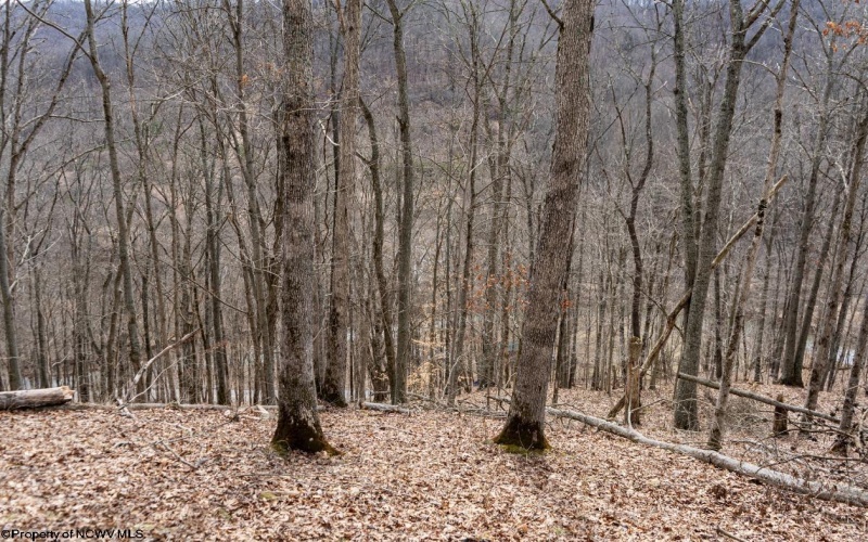 1819 Indian Creek Road, Alma, West Virginia 26320, 1 Bedroom Bedrooms, 5 Rooms Rooms,1 BathroomBathrooms,Single Family Detached,For Sale,Indian Creek,10158256