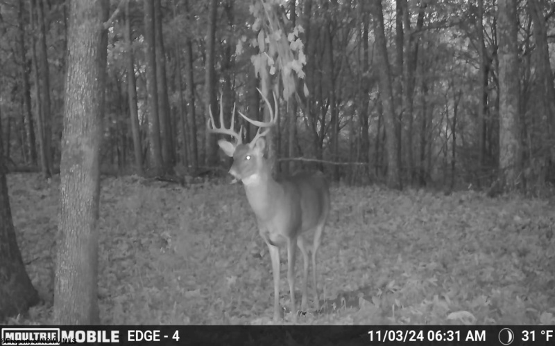 1819 Indian Creek Road, Alma, West Virginia 26320, 1 Bedroom Bedrooms, 5 Rooms Rooms,1 BathroomBathrooms,Single Family Detached,For Sale,Indian Creek,10158256