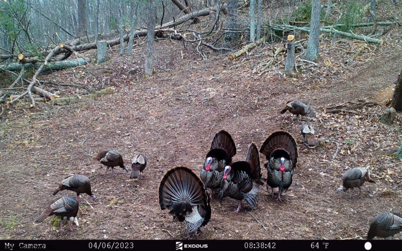 1819 Indian Creek Road, Alma, West Virginia 26320, 1 Bedroom Bedrooms, 5 Rooms Rooms,1 BathroomBathrooms,Single Family Detached,For Sale,Indian Creek,10158256