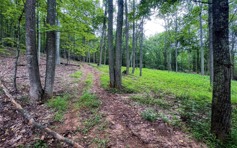 1819 Indian Creek Road, Alma, West Virginia 26320, 1 Bedroom Bedrooms, 5 Rooms Rooms,1 BathroomBathrooms,Single Family Detached,For Sale,Indian Creek,10158256