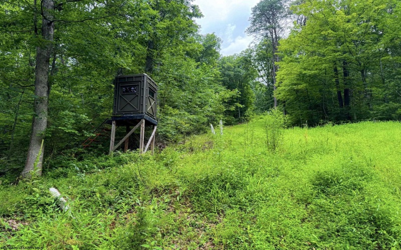 1819 Indian Creek Road, Alma, West Virginia 26320, 1 Bedroom Bedrooms, 5 Rooms Rooms,1 BathroomBathrooms,Single Family Detached,For Sale,Indian Creek,10158256