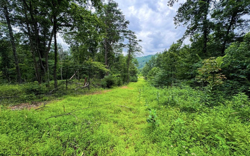 1819 Indian Creek Road, Alma, West Virginia 26320, 1 Bedroom Bedrooms, 5 Rooms Rooms,1 BathroomBathrooms,Single Family Detached,For Sale,Indian Creek,10158256