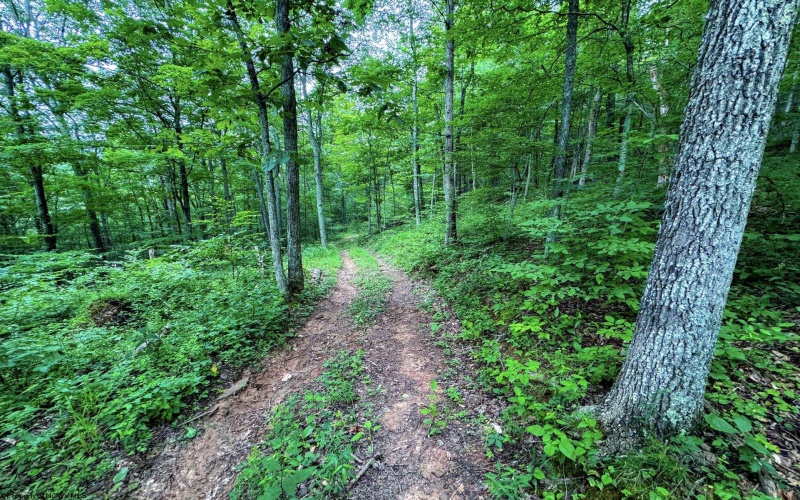 1819 Indian Creek Road, Alma, West Virginia 26320, 1 Bedroom Bedrooms, 5 Rooms Rooms,1 BathroomBathrooms,Single Family Detached,For Sale,Indian Creek,10158256