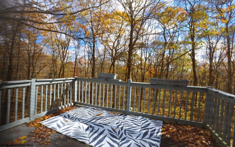 1218 Alpine Drive, Terra Alta, West Virginia 26764, 3 Bedrooms Bedrooms, 8 Rooms Rooms,2 BathroomsBathrooms,Single Family Detached,For Sale,Alpine,10162402 1218 Alpine Drive, Terra Alta, West Virginia 26764, 3 Bedrooms Bedrooms, 8 Rooms Rooms,2 BathroomsBathrooms,Single Family Detached,For Sale,Alpine,10162402