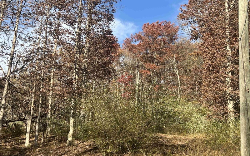 2716 Right Freemans Creek Road, Weston, West Virginia 26452, 3 Bedrooms Bedrooms, 9 Rooms Rooms,2 BathroomsBathrooms,Single Family Detached,For Sale,Right Freemans Creek,10162407 2716 Right Freemans Creek Road, Weston, West Virginia 26452, 3 Bedrooms Bedrooms, 9 Rooms Rooms,2 BathroomsBathrooms,Single Family Detached,For Sale,Right Freemans Creek,10162407