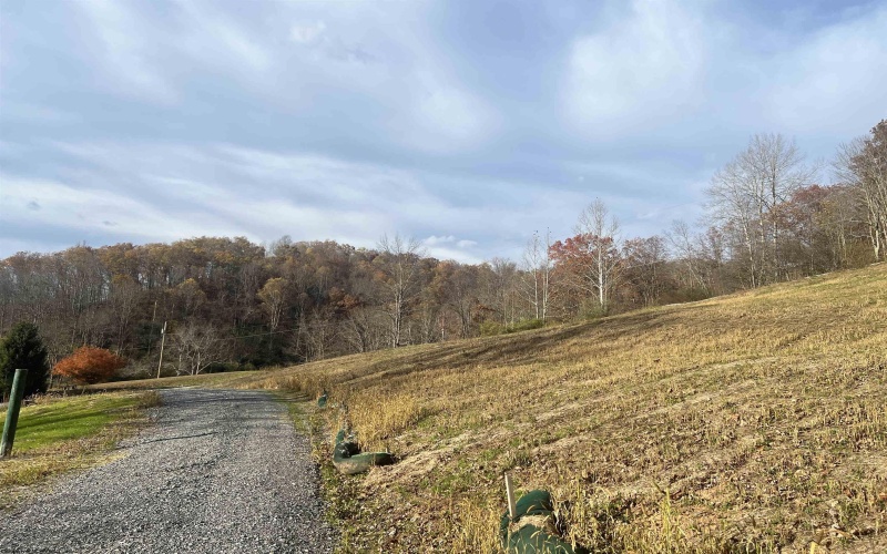 2716 Right Freemans Creek Road, Weston, West Virginia 26452, 3 Bedrooms Bedrooms, 9 Rooms Rooms,2 BathroomsBathrooms,Single Family Detached,For Sale,Right Freemans Creek,10162407 2716 Right Freemans Creek Road, Weston, West Virginia 26452, 3 Bedrooms Bedrooms, 9 Rooms Rooms,2 BathroomsBathrooms,Single Family Detached,For Sale,Right Freemans Creek,10162407