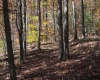 Lot 10 Sand Bank Heights Road, Masontown, West Virginia 26542, ,Lots/land,For Sale,Sand Bank Heights,10162408