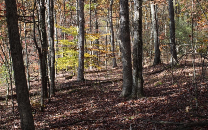 Lot 10 Sand Bank Heights Road, Masontown, West Virginia 26542, ,Lots/land,For Sale,Sand Bank Heights,10162408