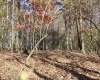 Lot 10 Sand Bank Heights Road, Masontown, West Virginia 26542, ,Lots/land,For Sale,Sand Bank Heights,10162408