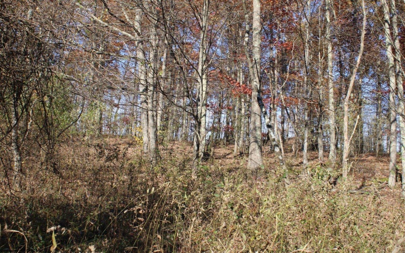 Lot 10 Sand Bank Heights Road, Masontown, West Virginia 26542, ,Lots/land,For Sale,Sand Bank Heights,10162408