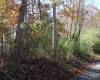 Lot 10 Sand Bank Heights Road, Masontown, West Virginia 26542, ,Lots/land,For Sale,Sand Bank Heights,10162408