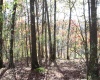 Lot 10 Sand Bank Heights Road, Masontown, West Virginia 26542, ,Lots/land,For Sale,Sand Bank Heights,10162408