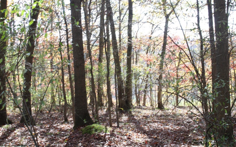 Lot 10 Sand Bank Heights Road, Masontown, West Virginia 26542, ,Lots/land,For Sale,Sand Bank Heights,10162408