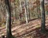 Lot 10 Sand Bank Heights Road, Masontown, West Virginia 26542, ,Lots/land,For Sale,Sand Bank Heights,10162408