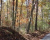Lot 10 Sand Bank Heights Road, Masontown, West Virginia 26542, ,Lots/land,For Sale,Sand Bank Heights,10162408