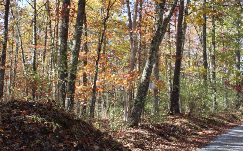 Lot 10 Sand Bank Heights Road, Masontown, West Virginia 26542, ,Lots/land,For Sale,Sand Bank Heights,10162408