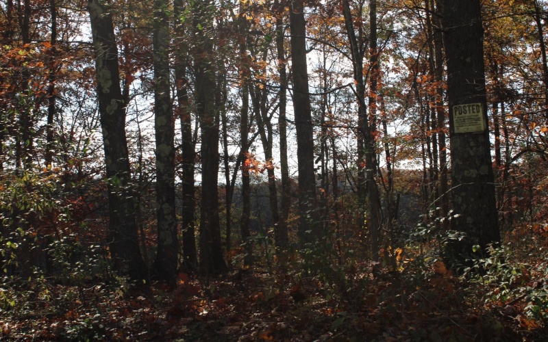 Lot 10 Sand Bank Heights Road, Masontown, West Virginia 26542, ,Lots/land,For Sale,Sand Bank Heights,10162408