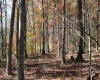 Lot 10 Sand Bank Heights Road, Masontown, West Virginia 26542, ,Lots/land,For Sale,Sand Bank Heights,10162408