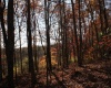 Lot 10 Sand Bank Heights Road, Masontown, West Virginia 26542, ,Lots/land,For Sale,Sand Bank Heights,10162408