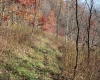 Lot 10 Sand Bank Heights Road, Masontown, West Virginia 26542, ,Lots/land,For Sale,Sand Bank Heights,10162408