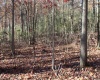 Lot 10 Sand Bank Heights Road, Masontown, West Virginia 26542, ,Lots/land,For Sale,Sand Bank Heights,10162408
