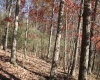 Lot 10 Sand Bank Heights Road, Masontown, West Virginia 26542, ,Lots/land,For Sale,Sand Bank Heights,10162408