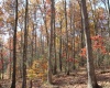 Lot 10 Sand Bank Heights Road, Masontown, West Virginia 26542, ,Lots/land,For Sale,Sand Bank Heights,10162408