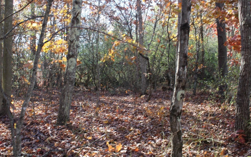 Lot 10 Sand Bank Heights Road, Masontown, West Virginia 26542, ,Lots/land,For Sale,Sand Bank Heights,10162408