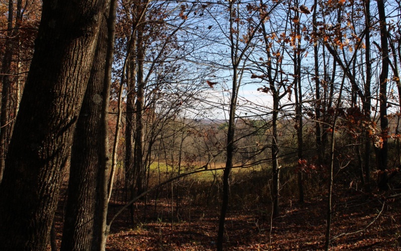 Lot 11 Sand Bank Heights Road, Masontown, West Virginia 26542, ,Lots/land,For Sale,Sand Bank Heights,10162409