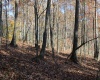 Lot 11 Sand Bank Heights Road, Masontown, West Virginia 26542, ,Lots/land,For Sale,Sand Bank Heights,10162409