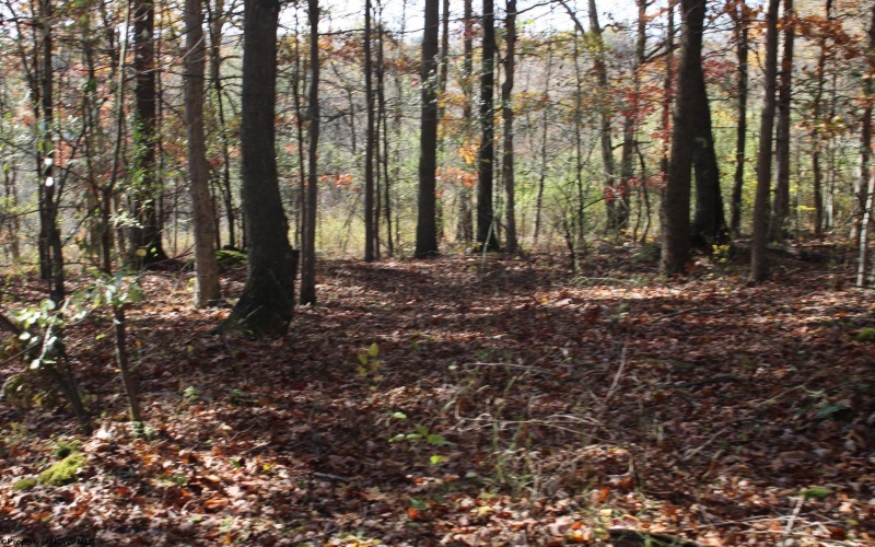 Lot 11 Sand Bank Heights Road, Masontown, West Virginia 26542, ,Lots/land,For Sale,Sand Bank Heights,10162409