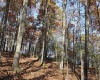 Lot 11 Sand Bank Heights Road, Masontown, West Virginia 26542, ,Lots/land,For Sale,Sand Bank Heights,10162409